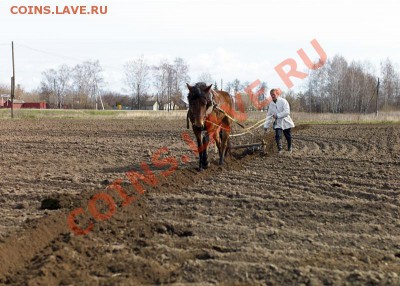 2 рубля 2009 года раскол или царапина? - борозда