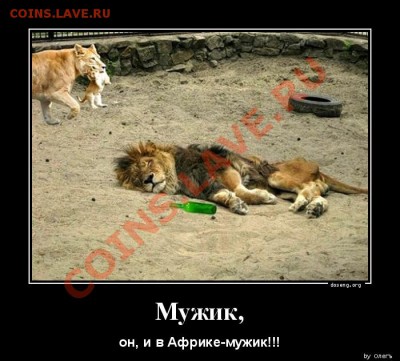 юмор - 1377685127_Muzhik_doseng.org