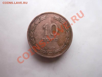 10 прут Израиль до 14.10 - DSCF2146