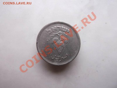 25 прута  Израиль до 14.10 - DSCF2145