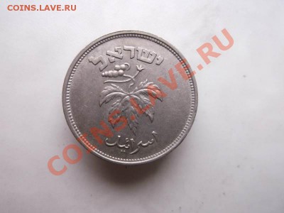 50 прута Израиль до 14.10 - DSCF2149