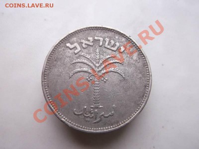 100 прута Израиль 14.10 - DSCF2151
