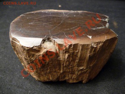 Минералы - сокровища Земли - x_2ff718ca
