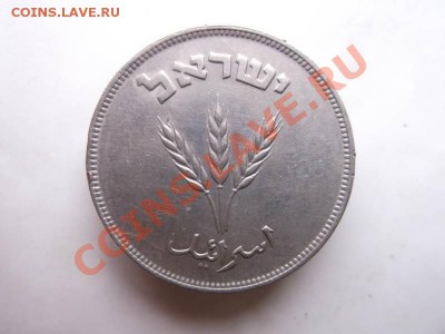 250 прута Израиль до 14.10 - DSCF2153