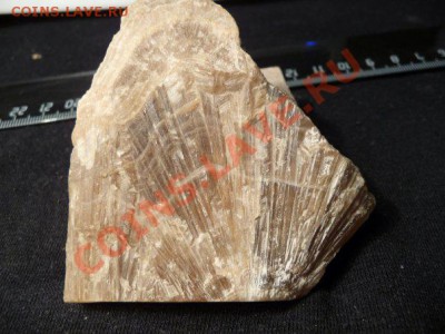 Минералы - сокровища Земли - x_904456ed
