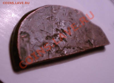 Трупы! Слабонервным не смотреть! - 1SHM1475.JPG