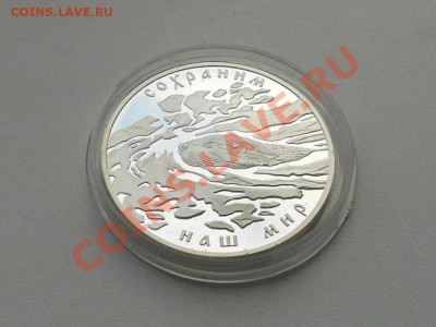 3 рубля 2008 г. серия - сохраним наш мир, ПРУФ. Бобр - 3619174789_1