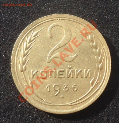Хорошенькие 2к-36г =бонусом 2шт 5к-30г (хорошие) до 19.10.13 - DSC06435_cr