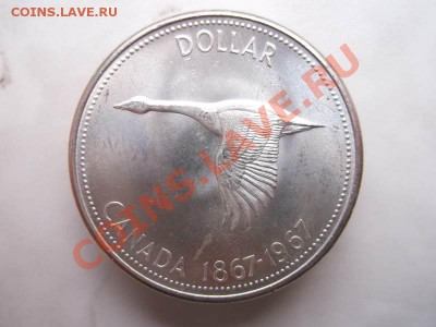 Канада 1 доллар,100 лет конфедирации,до 18.10 - DSCF2194