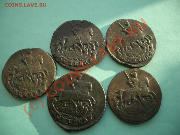 копеечки - CIMG7551.JPG