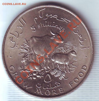 Сомали.5 Шиллингов(Крона)1970.F.A.O - 19700035.JPG