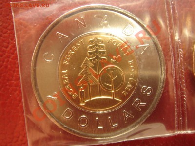 Канада: 2$ 2011 Северный лес до 18.10.13 22-00 - Канада 2 доллара лес -1.JPG