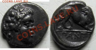 Резаный гемиобол ан69? - IMG_1043_2a