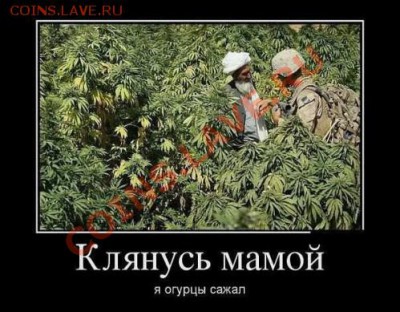 БИМЕТАЛЛ - ОБЛОМНЫЕ ЦЕНЫ ! - 68640246