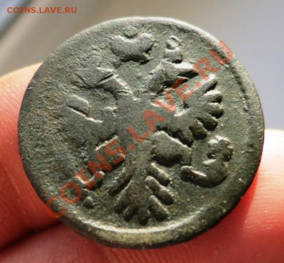 Оцените Денгу 1736 года, буква Е в обратную сторону. - IMG_3994.JPG