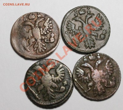 Деньга 1708,5 злотых 1830,2 коп 1757 и тд. Изучение интереса - IMG_7304.JPG