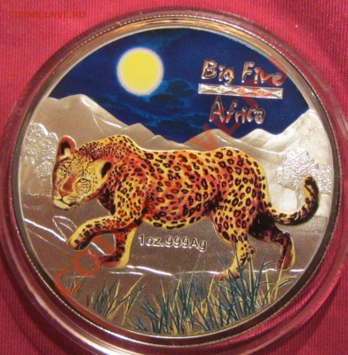 эмаль 2008 г - IMG_0009.JPG