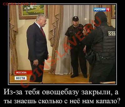 ЗВЕРИ ЗАБЛУДИЛИСЬ - getImage