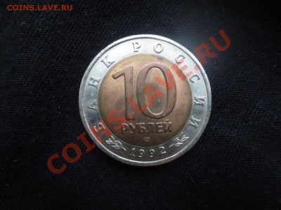 10 рублей. Красная книга. Краснозобая казарка. - IMG_0954.JPG