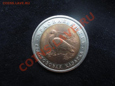 10 рублей. Красная книга. Краснозобая казарка. - IMG_0953.JPG