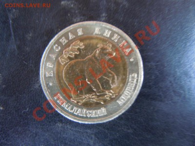 50руб.Красная Книга "Бурый медведь", до 25.10.2013г. в 22.22 - DSCN2613.JPG