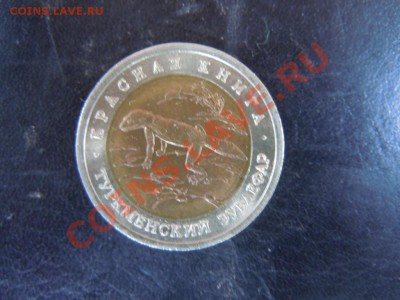 50р.Красная книга"Туркменский зублефар",до25.10.2013г. 22.22 - DSCN2615.JPG