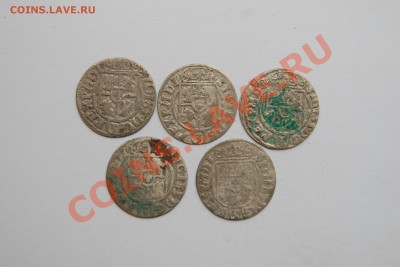 Серебряные полтораки Сигизмунда 3. Погодовка. 24.10.13 в 22 - DSC_5257.JPG