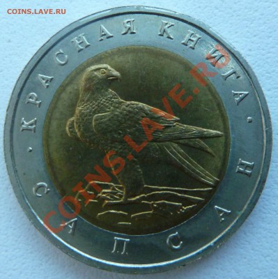 КРАСНАЯ КНИГА-САПСАН-1994-50 рублей до 23.10.13 22:00 Мск - P1130233.JPG