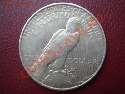 США: Ag-900 Пис-доллар 1922 до 24.10.13 22-00 - США доллар 1922-2.JPG