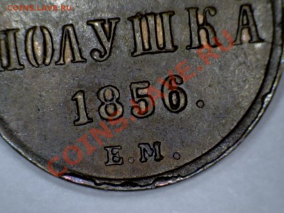 Полушка 1856ЕМ до 23.10.13 21-00+ - 1310110714392870921