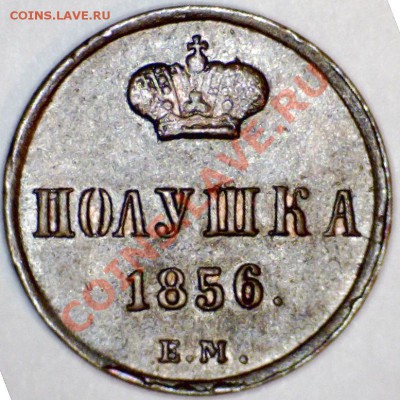 Полушка 1856ЕМ до 23.10.13 21-00+ - 1310110712072719015