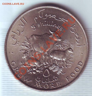 Сомали.5 Шиллингов(Крона)1970.F.A.O. до 26.10 - сомали0001.JPG