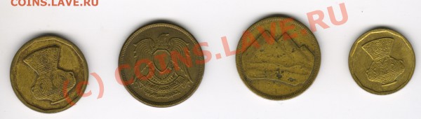 египет до 25.01.10г  21.00МСК - египет1