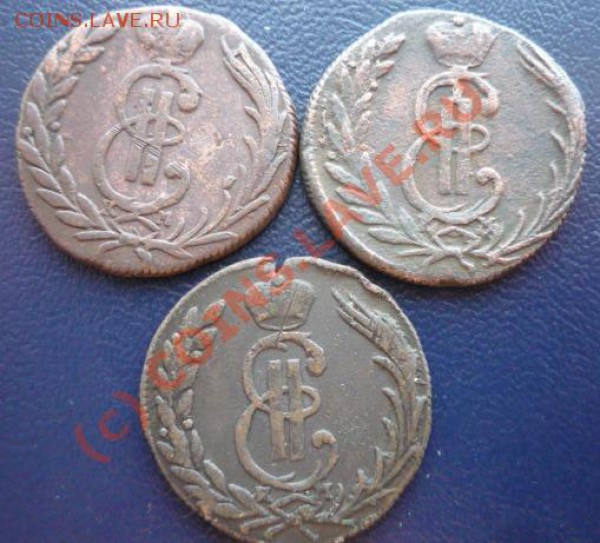 Сибирские копейки 1768км, 1771 км, 1775 км до 21.01.10г - P1020143.JPG