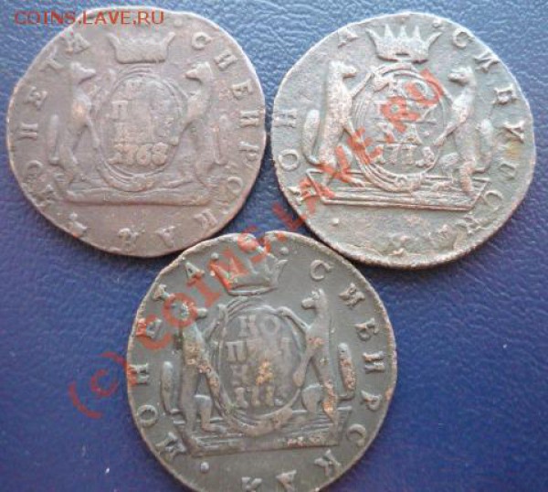 Сибирские копейки 1768км, 1771 км, 1775 км до 21.01.10г - P1020141.JPG