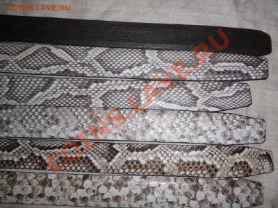 Изделия из кожи питона - P1050653.JPG