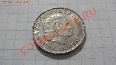 Нидерланды 1 гульден 1955 - DSC03971.JPG