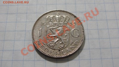 Нидерланды 1 гульден 1955 - DSC03970.JPG