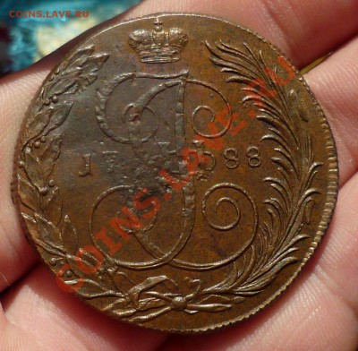 5 копеек 1787,1788,1791 гг.(КМ) "Симпатишные" на оценку.... - P1130201.JPG