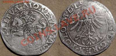 ВКЛ. Полугроши Сигизмунда Августа, 1560 и 1564 - Полугрош1564