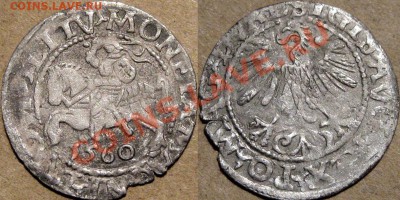 ВКЛ. Полугроши Сигизмунда Августа, 1560 и 1564 - Полугрош1560