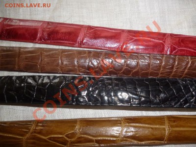Изделия из кожи крокодила ! - P1050674.JPG