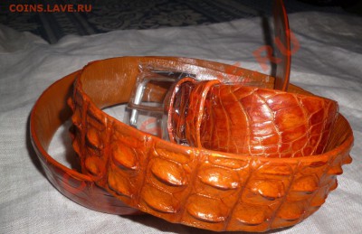 Изделия из кожи крокодила ! - P1050751.JPG