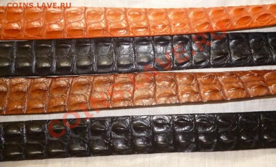 Изделия из кожи крокодила ! - P1050692.JPG