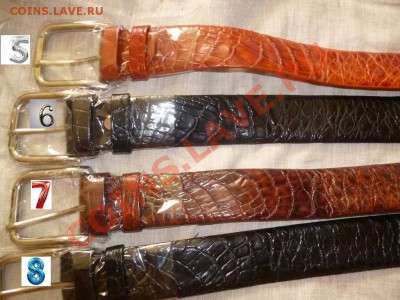 Изделия из кожи крокодила ! - P1050690.JPG