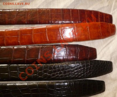 Изделия из кожи крокодила ! - P1050680.JPG