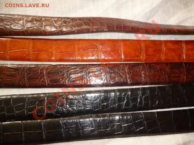 Изделия из кожи крокодила ! - P1050679.JPG