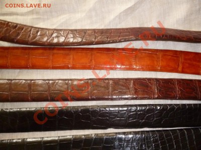Изделия из кожи крокодила ! - P1050678.JPG