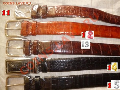 Изделия из кожи крокодила ! - P1050677.JPG