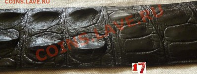 Изделия из кожи крокодила ! - P1050838.JPG